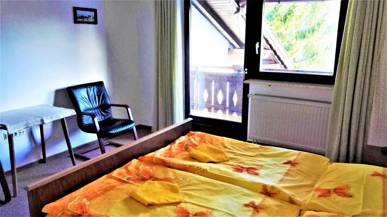 Guest house Penzion Sumavacek Bayerisch Eisenstein